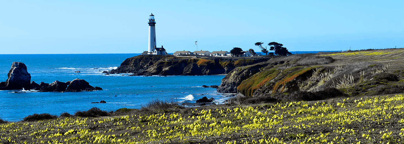 coastal-lighthouse-and-yellow-flowers