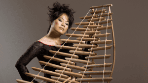 Celebrating-Asian-Futures--A-Musical-Conversation-with-Van-Anh-Vo-and-Friends