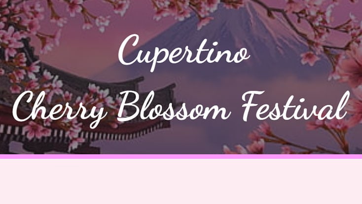 Cupertino-Cherry-Blossom-Festival-across-background-of-Mt-Fuji-and-blooming-cherry-blossom-trees-by-pagoda