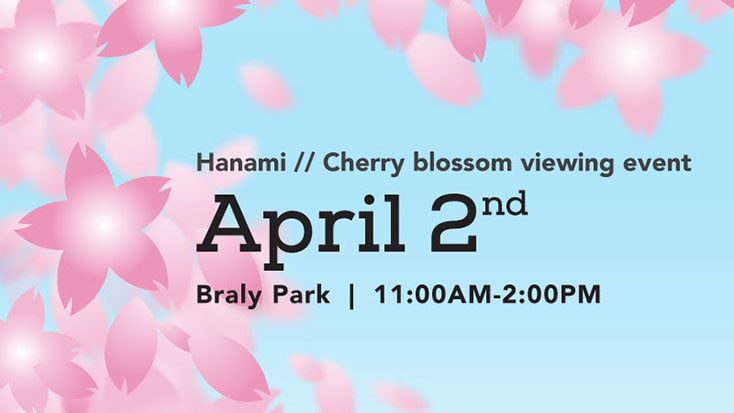 Sunnyvale Cherry Blossom Viewing Event with cherry blossom illustrations