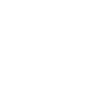 Northern California Chapter Sister Cities International logo in white