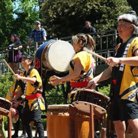 A group of people in traditional clothing play taiko drums outdoors during a cultural exchange event, with camellias blooming and a lively crowd among the trees in the background.